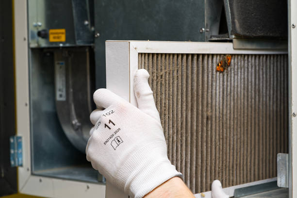 Best Duct Cleaning for Offices  in Grayson, GA