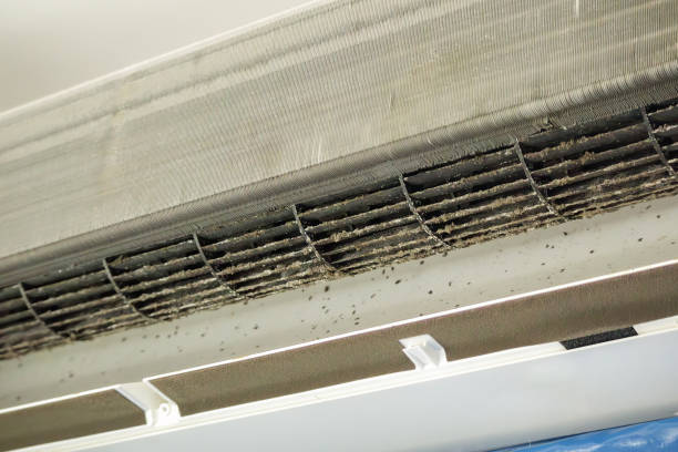 Best Affordable Air Duct Cleaning  in Grayson, GA